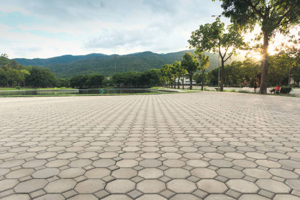 Best Decorative Driveway Pavers  in Arcola, IL